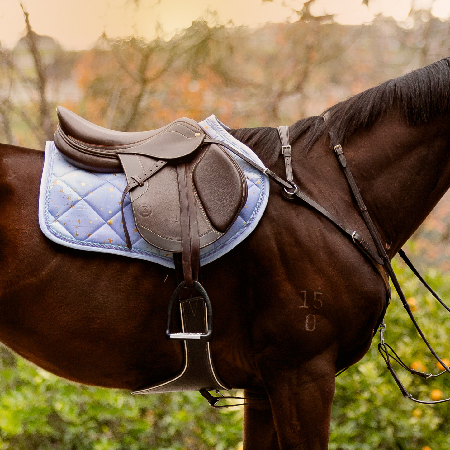 Jump/GP Saddle Pad - Violet Night