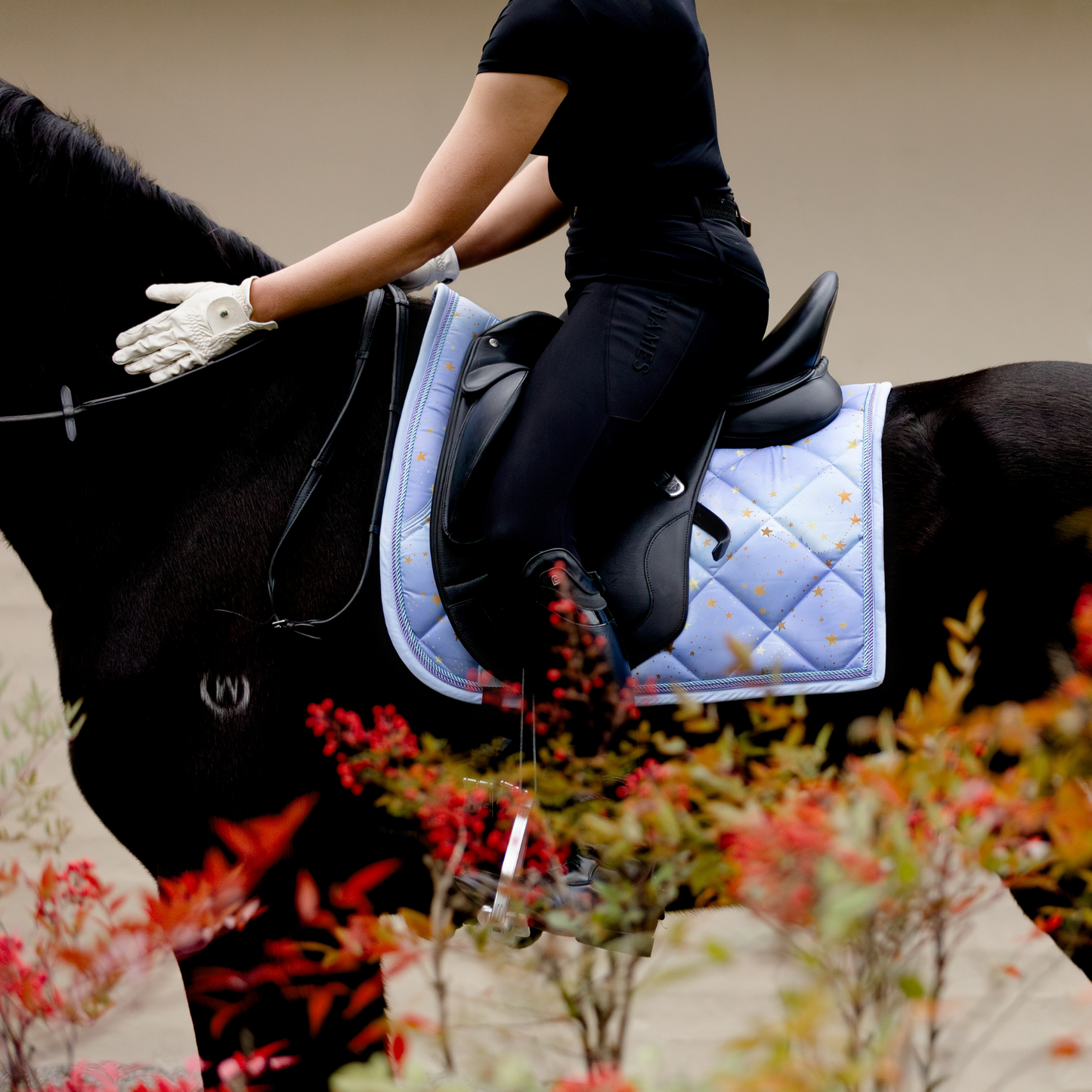 Dressage Saddle Pad - Violet Night