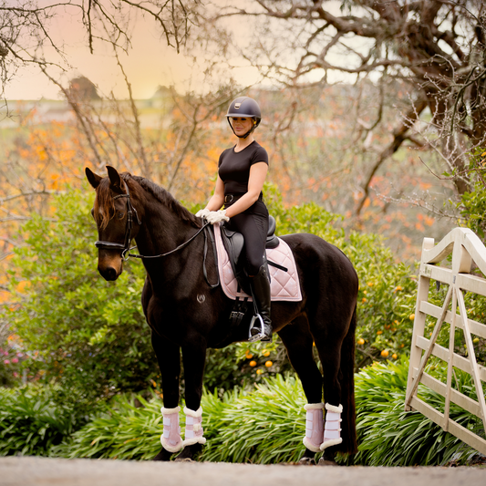Dressage Set - Blush Butterfly