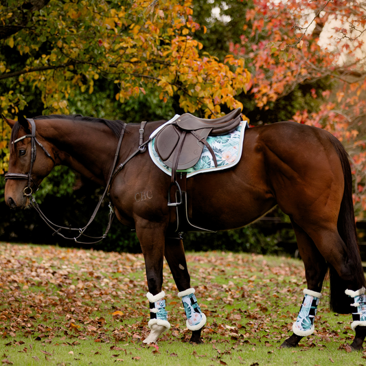 Honolulu - Jumping/GP Set