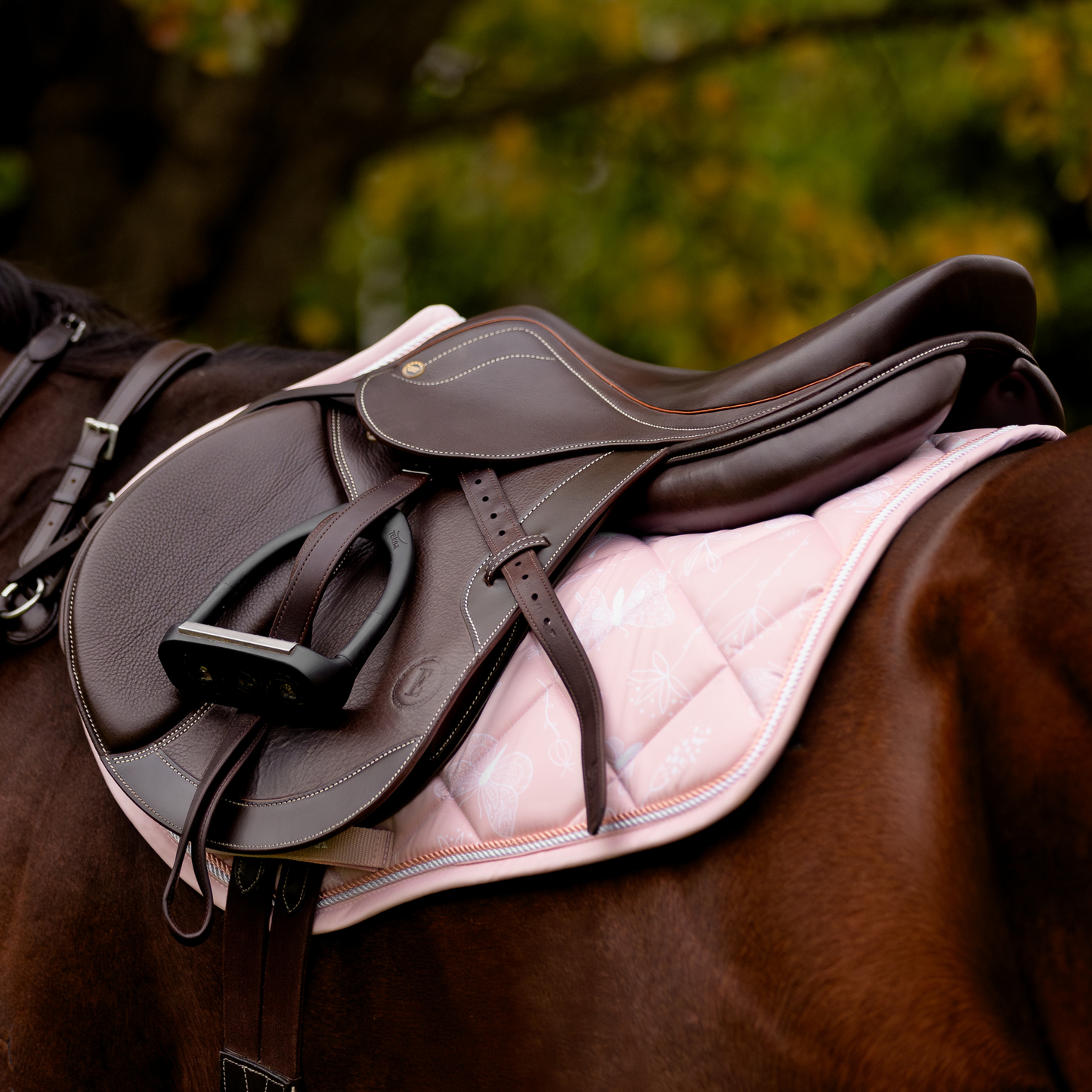 Jump/GP Saddle Pad - Blush Butterfly