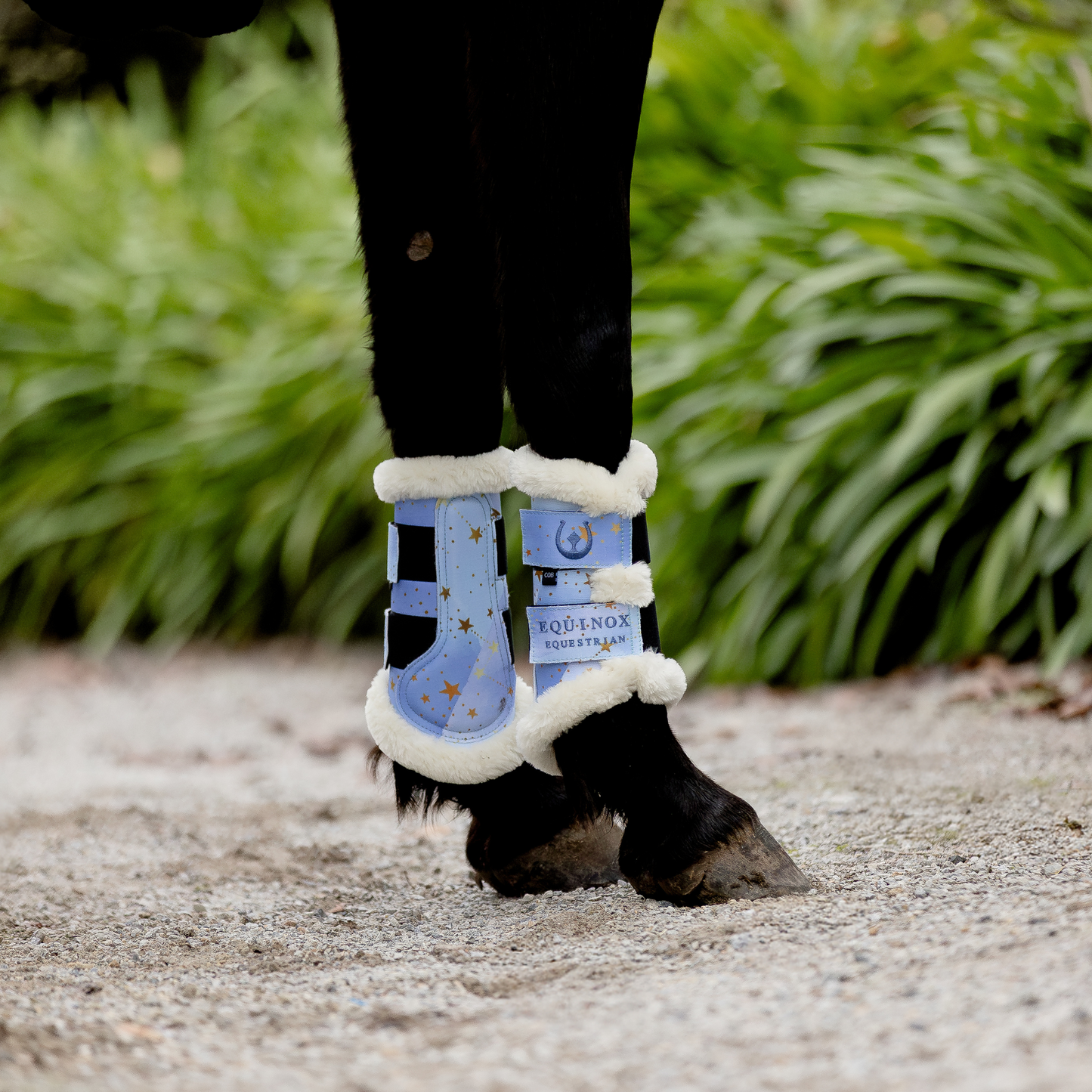 Brush Boots - Violet Night