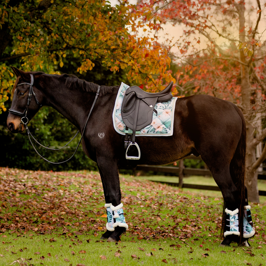 Honolulu - Dressage Set