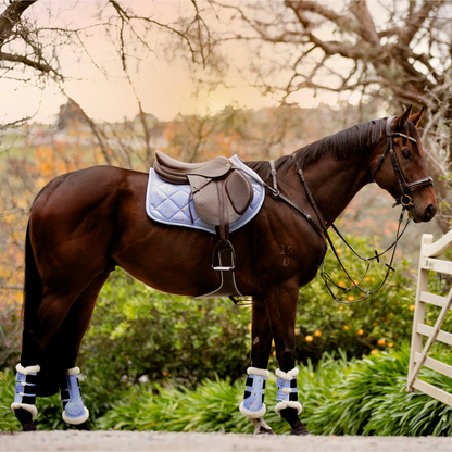 Violet Night - Jumping/GP Set