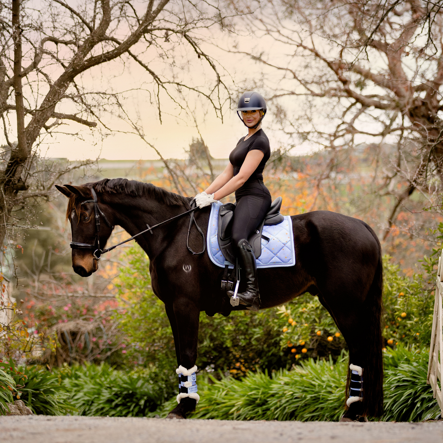 Violet Night - Dressage Set